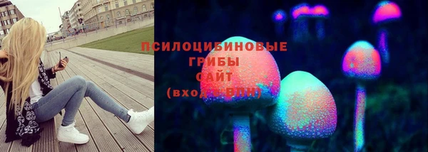 2c-b Алзамай