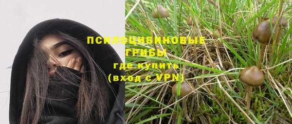 PSILOCYBIN Алексин