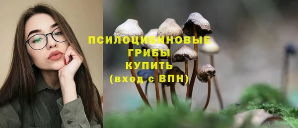 2c-b Алзамай