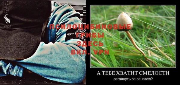 шишки Алексеевка
