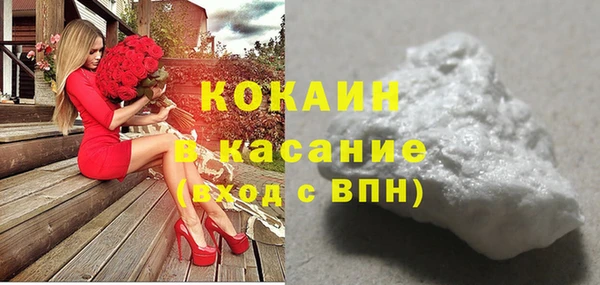 шишки Алексеевка