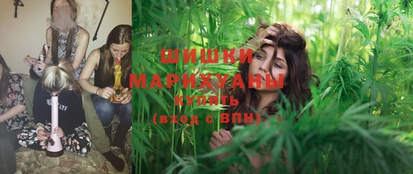 PSILOCYBIN Алексин