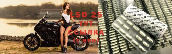 2c-b Алзамай