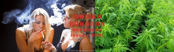 PSILOCYBIN Алексин