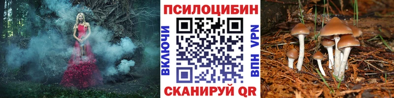 Галлюциногенные грибы GOLDEN TEACHER  дарк нет клад  MEGA маркетплейс  Ардон  что такое  